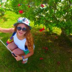 10832083_1540864096160611_757634897_a