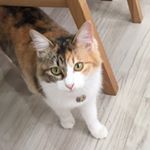 12331347_225252334479017_128196034_a