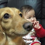 10953078_939383026107494_2079241998_a