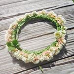 12543378_1672391412978528_1215918178_a