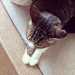 10903230_914652061903042_1469287164_a