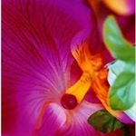 12716482_599697440178292_215100223_a