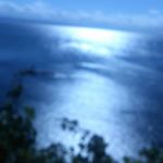 11351773_1480821268893014_374530096_a