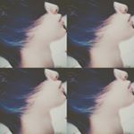 12547204_1544087055908090_586078799_a