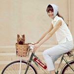 11358170_1672896196279164_1684098682_a