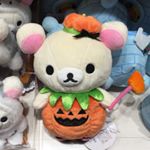 11856749_429174807283588_6209556_a