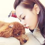 12093258_524242671067312_1205766902_a