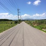 12677136_1717625468450758_1256043655_a