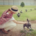 11356038_861890897218397_305870888_a