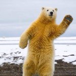 10914688_1532255977037998_944428052_a