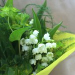 10995235_808238682580361_296305220_a