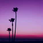 11875355_869868279728175_2100645897_a