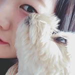 1516636_530351517138235_142558297_a