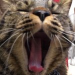 924499_1557007831220509_1931861157_a