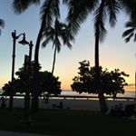 12534359_223241691341998_1780870465_a