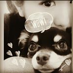 12750315_136973730021974_772884189_a