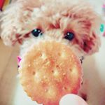 10540261_1697080747195567_1036573560_a