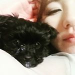 12599093_583577945123853_1495377057_a