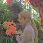 12716522_1734011483498356_31109537_a