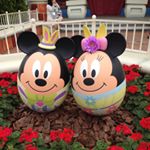 12317816_1716456165258171_897878428_a