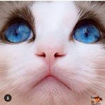 12534656_216511925353495_967292174_a