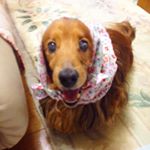 11084652_103946016637656_1434746830_a