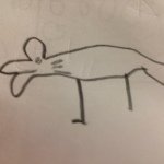 11349439_951438711561272_212248658_a