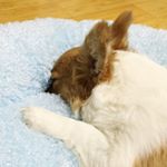 11930791_1124994870868152_1376289443_a