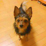 923836_391000274392095_2043579872_a