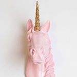 12338610_855311861234313_529956575_a