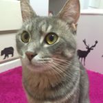 11375757_1760702394156760_1863669711_a