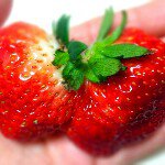 11918019_143388716001795_428368260_a