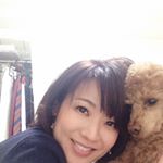 12093339_474994179369287_991865025_a