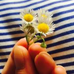 11850391_894169427318799_1122501526_a