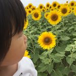 11371222_456249474557794_587148555_a