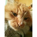 12446118_1690094087904820_1999449314_a