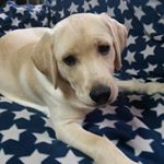 12407512_1713343132230336_786656031_a