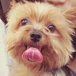 11312562_957776990941800_1369268220_a