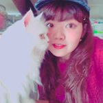 12502054_235777940094041_911581804_a