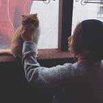 12353914_201376470203757_471946598_a