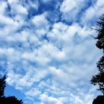 12531116_951655304927497_1867139918_a