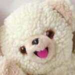 11850347_459947727541113_1337871486_a