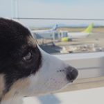 10946646_926893474026354_605766618_a