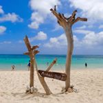 11363744_906284346087968_1400903571_a