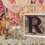 11934790_845699418862268_192448462_a