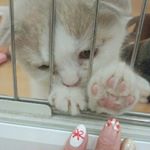 12627999_170694063302469_1247489102_a