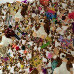 10954389_753933901380236_1637213260_a