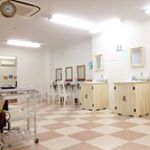 11313571_911809552246712_1869008542_a