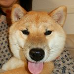 916038_1536992569946080_794818325_a