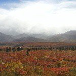 10919296_444622932356797_1883407621_a